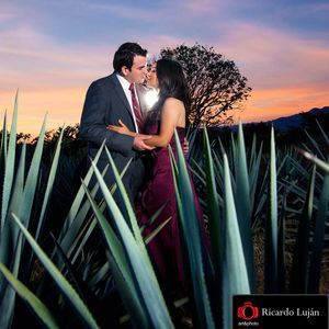 Meet your Posher, Richard